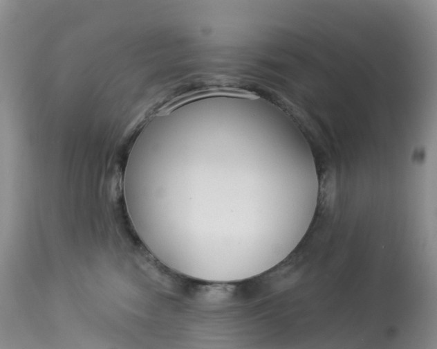 X0000113100474200909111056