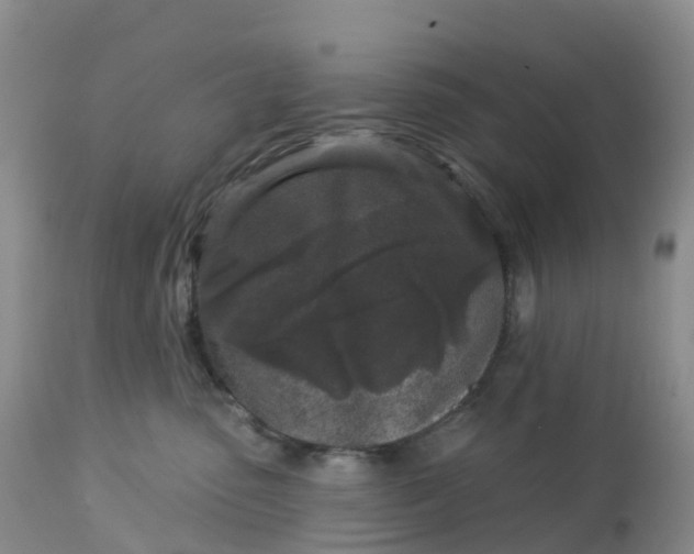 X0000113100475200909111056