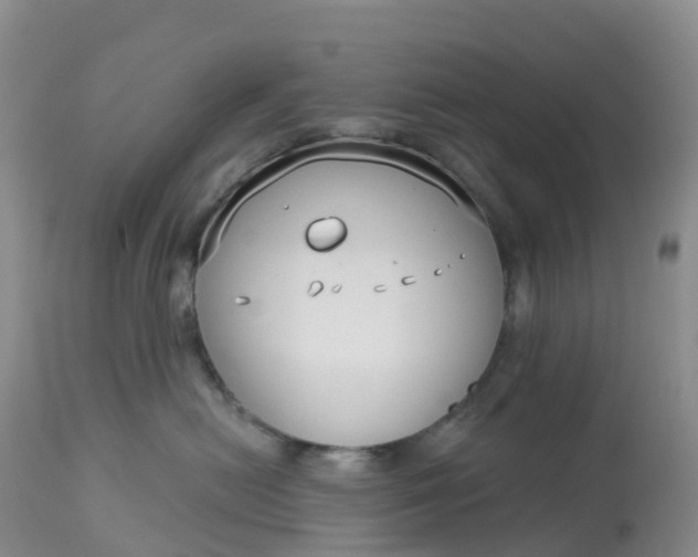 X0000113100478200909111056
