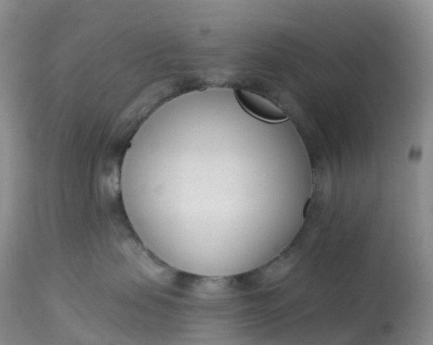 X0000113100479200909111056