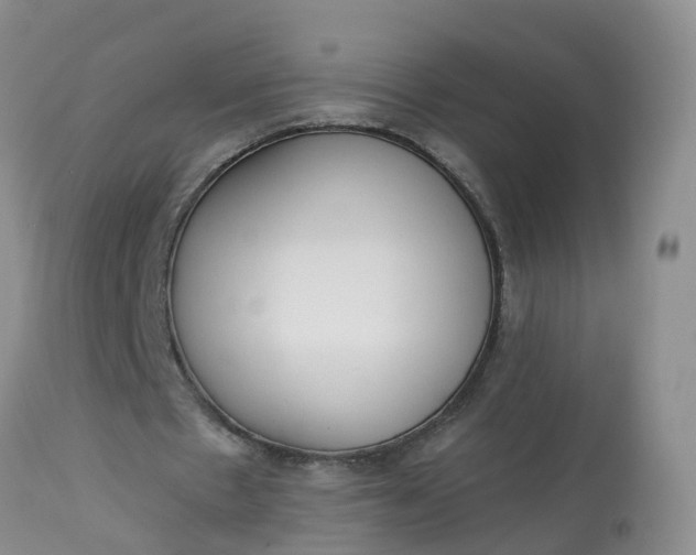 X0000113100481200909111055