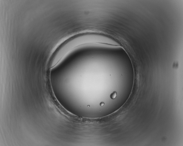 X0000113100484200909111055