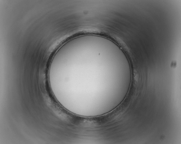 X0000113100487200909111055