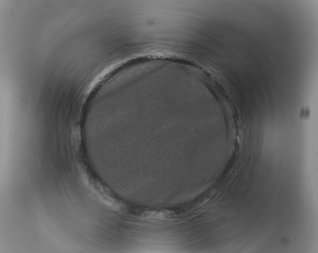 X0000113100488200909111055