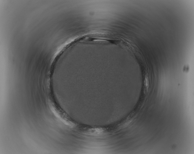 X0000113100492200909111055