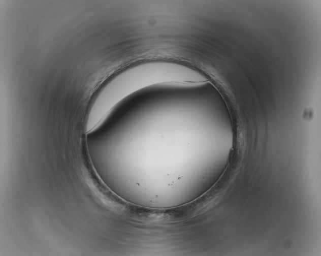 X0000113100493200909111055