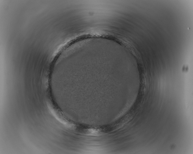 X0000113100496200909111055