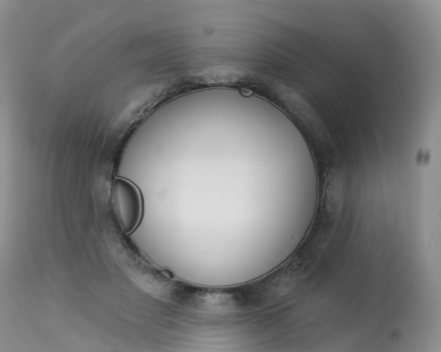 X0000113100501200909111055