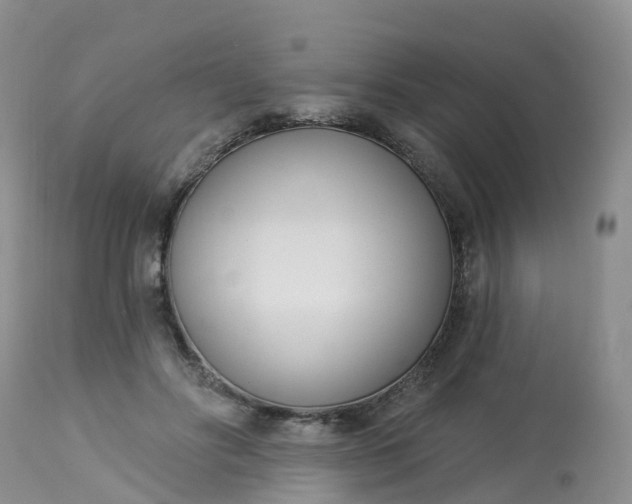 X0000113100502200909111055