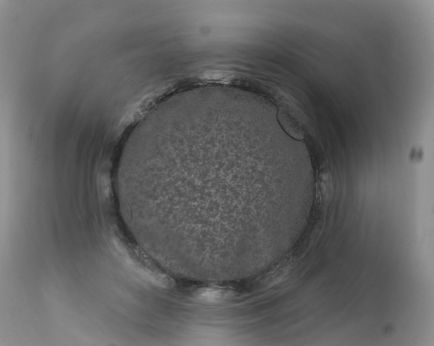 X0000113100504200909111054