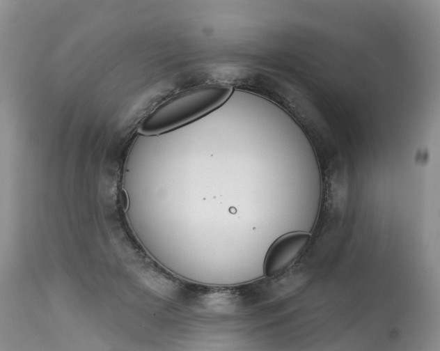 X0000113100505200909111054