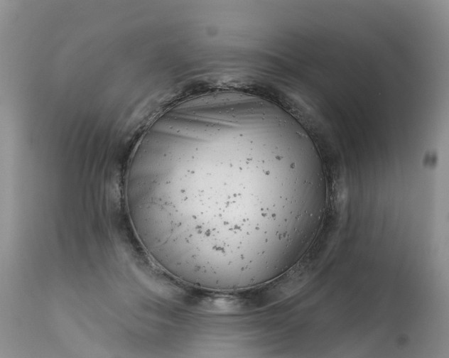 X0000113100506200909111054