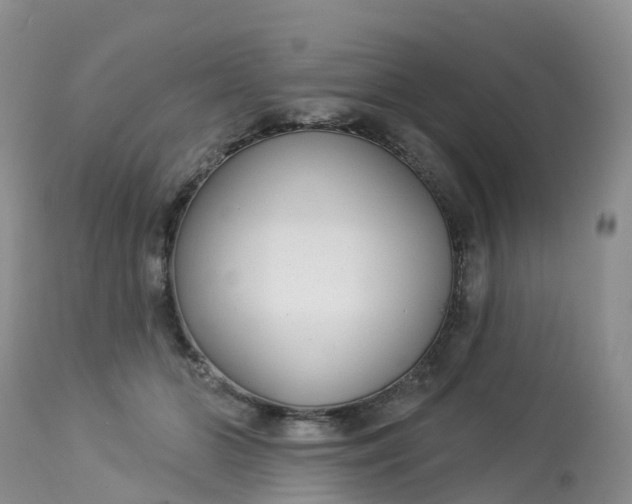 X0000113100510200909111054