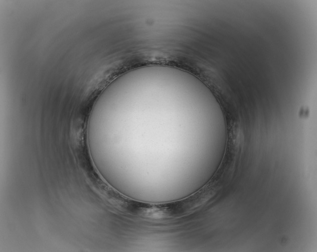 X0000113100511200909111054