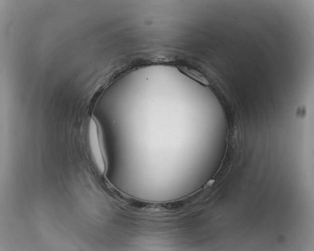 X0000113100512200909111054