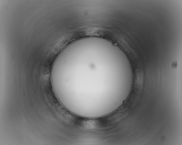 X0000113100513200909111054