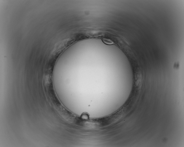 X0000113100515200909111054