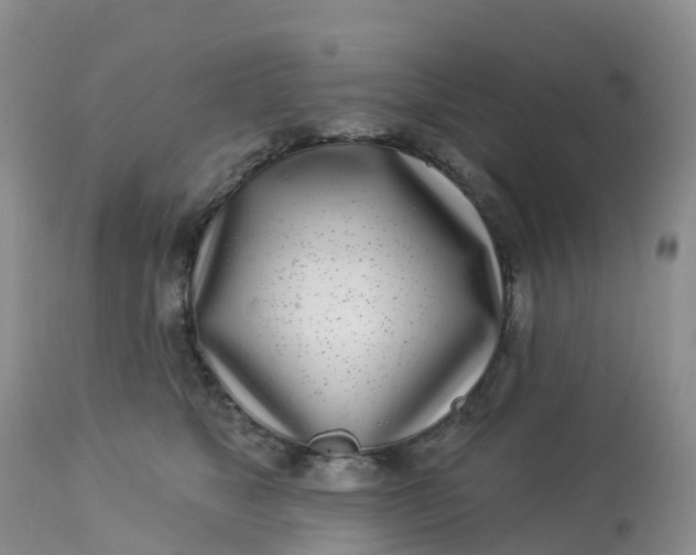 X0000113100517200909111054