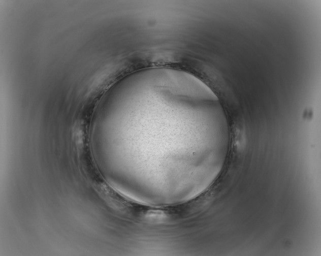 X0000113100519200909111054