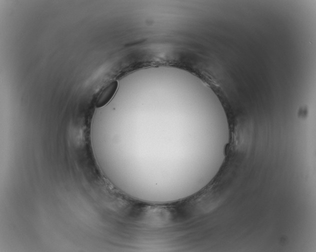 X0000113100520200909111054