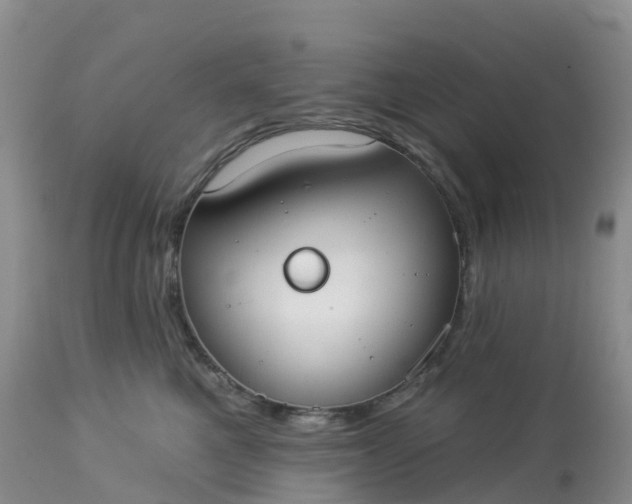 X0000113100521200909111054
