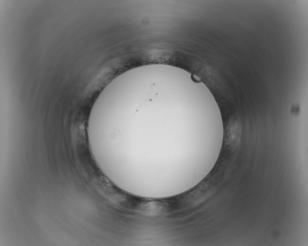 X0000113100522200909111054