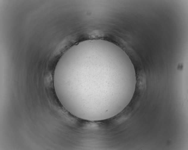 X0000113100523200909111054