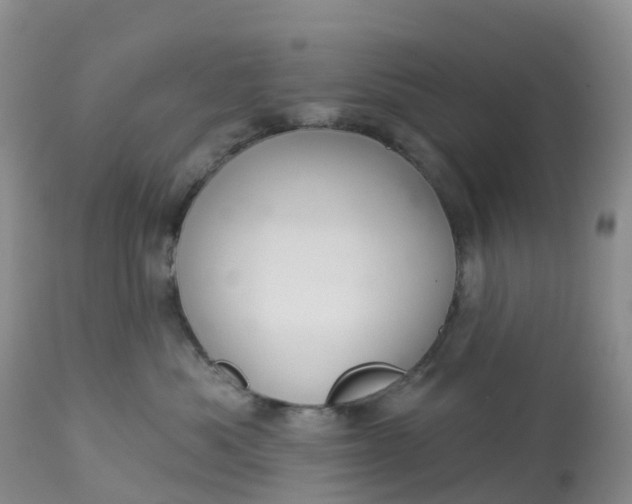 X0000113100525200909111054