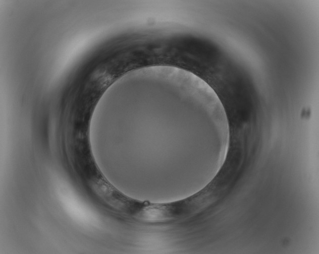 X0000113100526200909111054