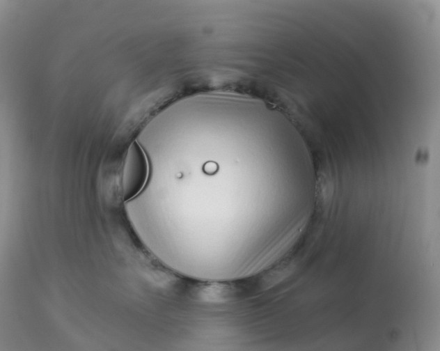 X0000113100527200909111054