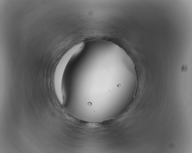 X0000113100528200909111054