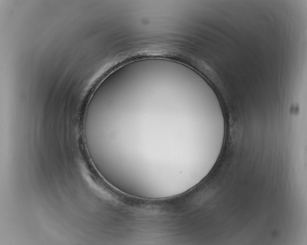 X0000113100530200909111053