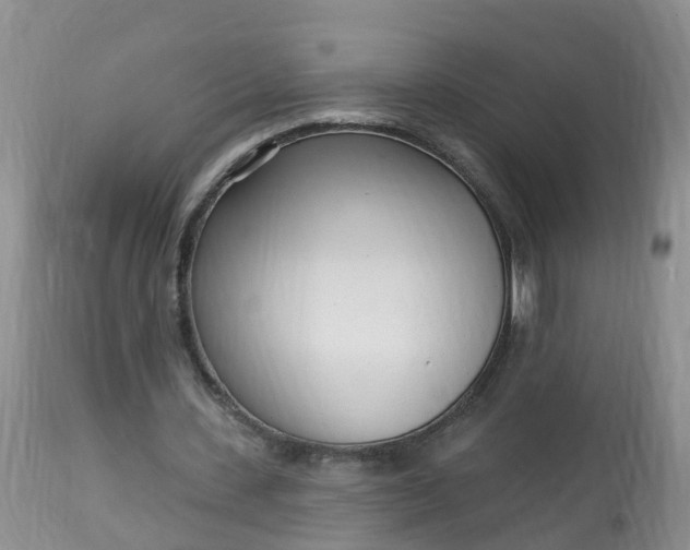 X0000113100531200909111053