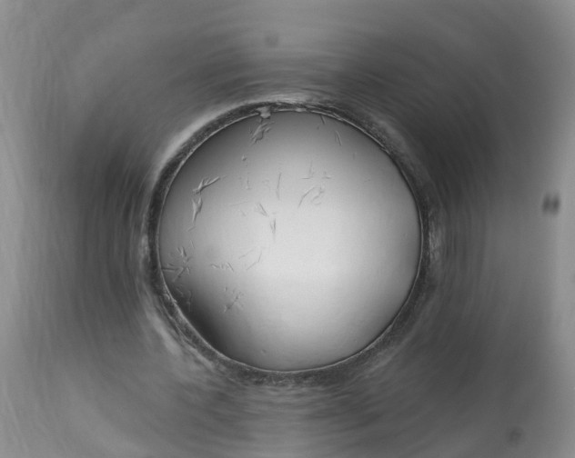 X0000113100532200909111053