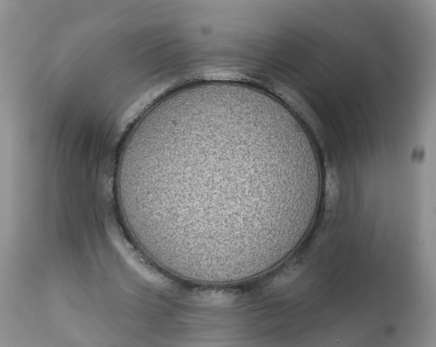 X0000113100533200909111053
