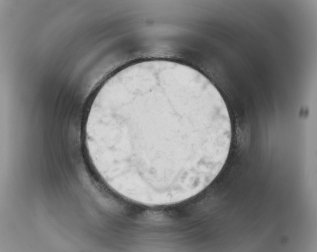 X0000113100534200909111053
