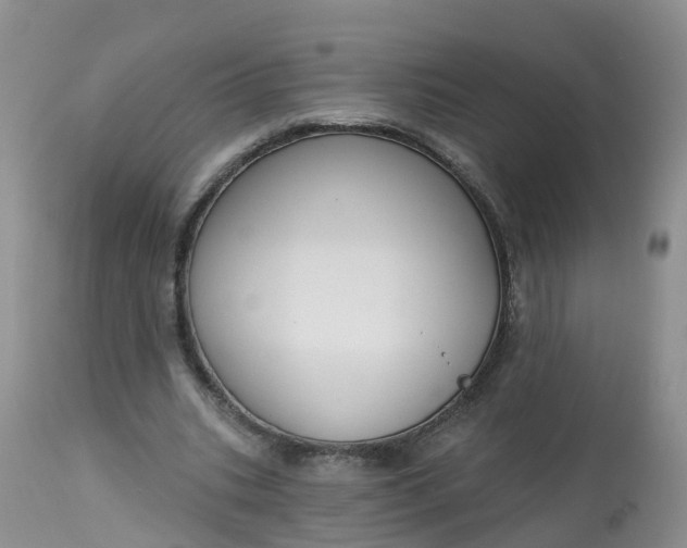 X0000113100535200909111053