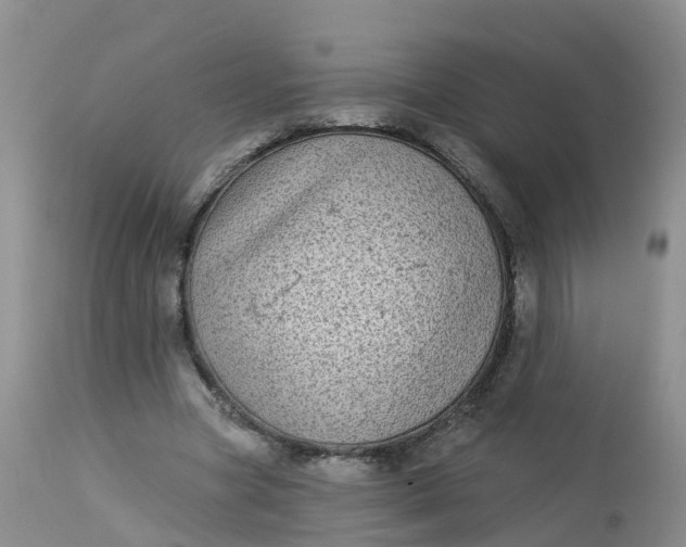 X0000113100537200909111054