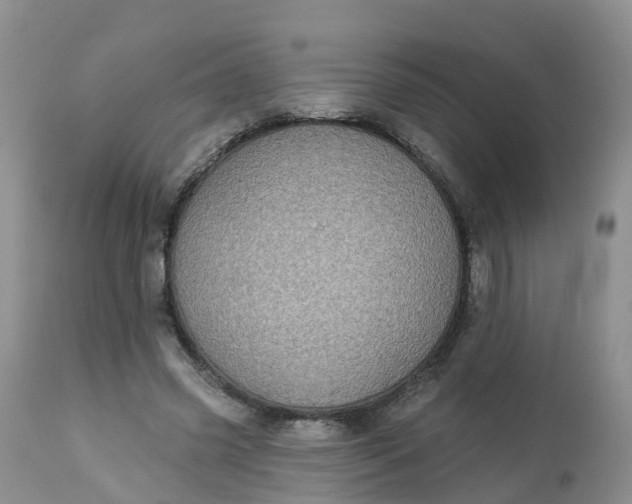 X0000113100541200909111054