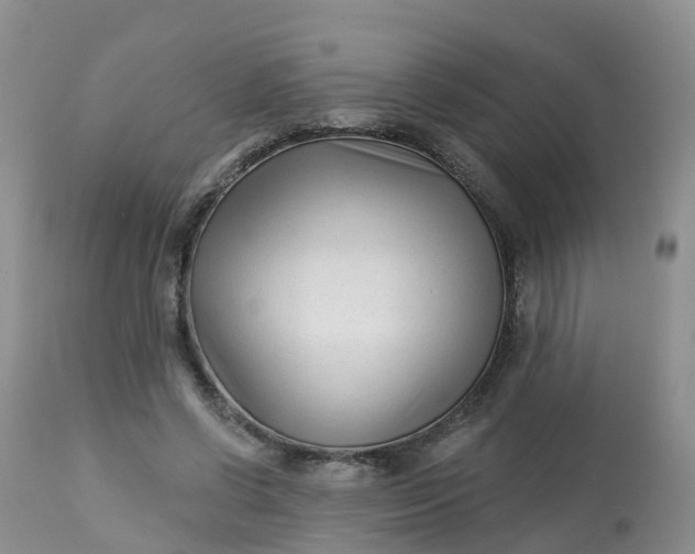X0000113100542200909111054