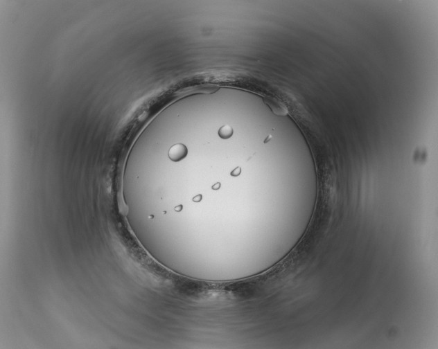 X0000113100543200909111054