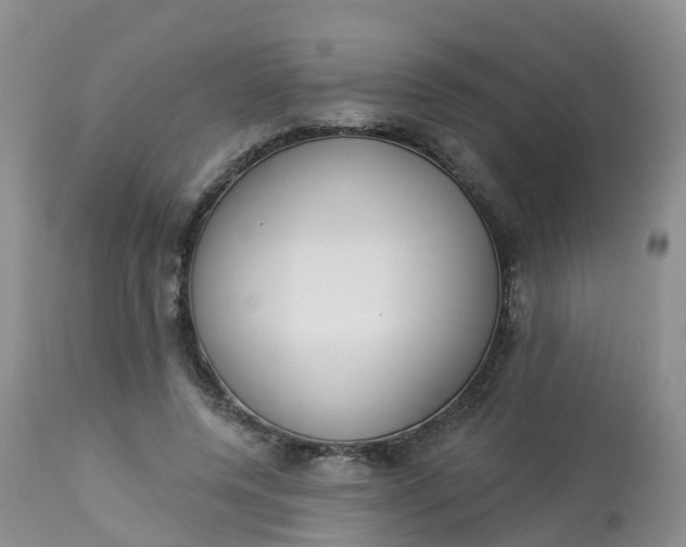 X0000113100544200909111054