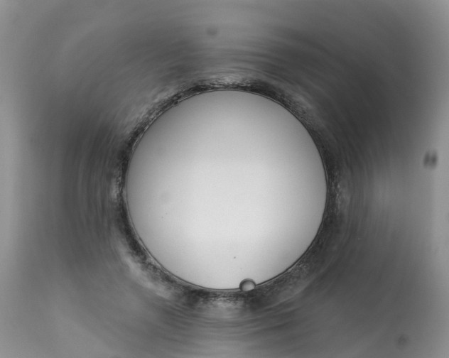 X0000113100546200909111054