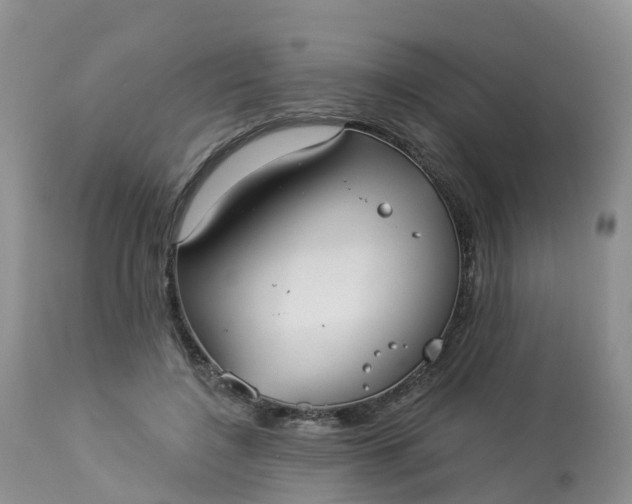 X0000113100548200909111054