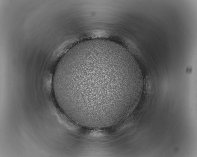 X0000113100550200909111054