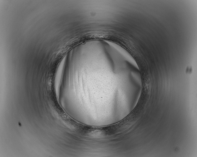 X0000113100551200909111054