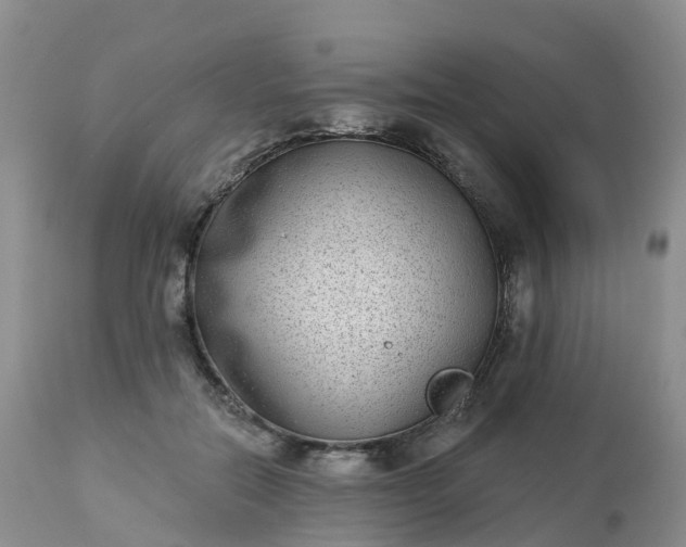 X0000113100554200909111054