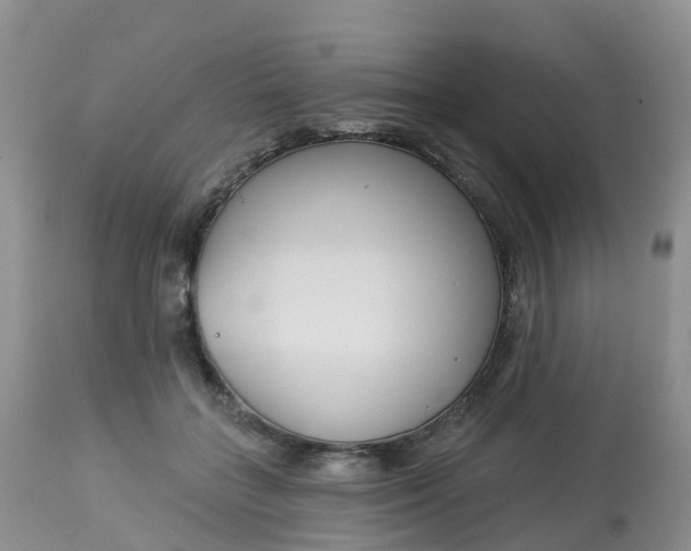 X0000113100555200909111054