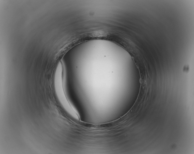 X0000113100556200909111054
