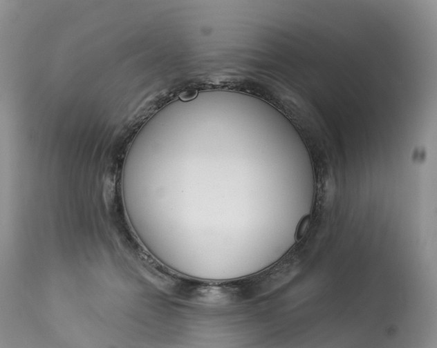 X0000113100558200909111054